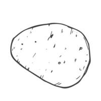 Doodle potato icon in vector. Line potato sketch icon vector