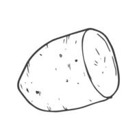 Doodle potato icon in vector. Line potato sketch icon vector