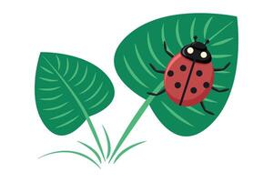 Ladybug sitting on a green leaf. isolated vector illustration. Element for design. Flat style