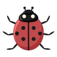 Ladybug isolated vector illustration. Element for design. Flat style