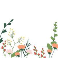 wild flowers on a white background. frame for text, poster, postcard, spring mood vector