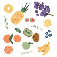 fresco, sabroso frutas colocar. dibujos animados estilo mano dibujado vector ilustración. vegano menú, sano alimento. frutas aislado en blanco. granada, manzana, piña, ciruela, banana, albaricoque, manzana, pera, bayas...