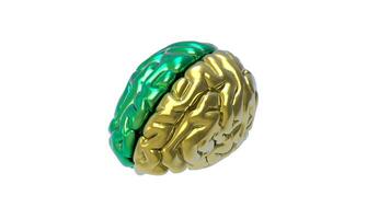 3d Brain object on white background photo