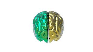 3d Brain object on white background photo