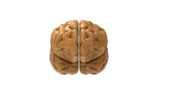 3d Brain object on white background photo