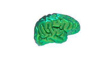 3d Brain object on white background photo