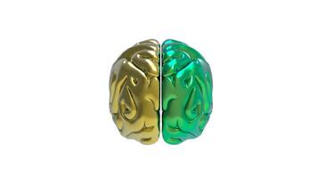 3d Brain object on white background photo