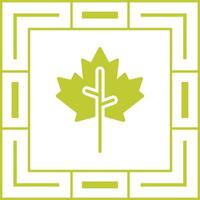 Maple leaf Vector Icon