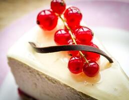 Cheesecake with redcurrant closeup photo