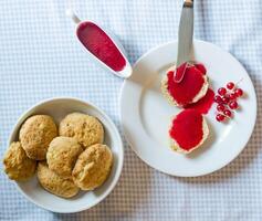 scone with redcurrant jam photo
