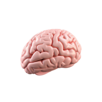 AI generated Brain side view png isolated on transparent background