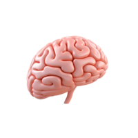 AI generated Brain side view png isolated on transparent background