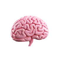 AI generated Brain side view png isolated on transparent background