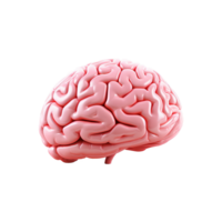 AI generated Brain side view png isolated on transparent background