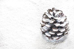 Pinecone on the white background photo