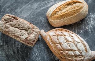 Whole grain breads photo