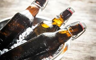 Bottles of beer in ice cubes photo
