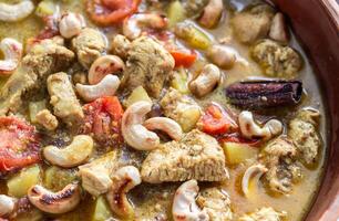 Chicken korma closeup photo