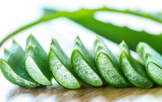 Fresh leaves of Aloe Vera photo