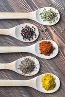 Assortment of spices on the wooden spoons photo