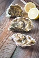 Raw oysters on the wooden background photo