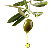 AI generated Olive oil dripping isolated on transparent background png