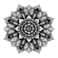 AI generated Mandala fractal design element with flower pattern isolated on transparent background png