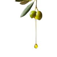 AI generated Olive oil dripping isolated on transparent background png