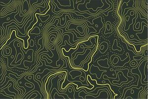 topográfico mapa resumen antecedentes vector