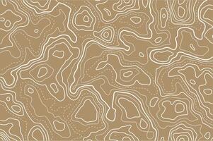 Topographic map abstract background vector