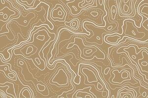 Topographic map abstract background vector