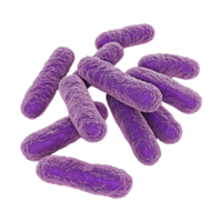 ai generado bacterias aislado en transparente antecedentes png