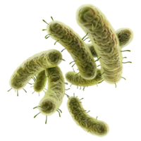 AI generated Bacteria isolated on transparent background png