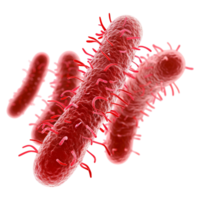 ai generado bacterias aislado en transparente antecedentes png