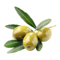 ai genererad färsk oliver isolerat på transparent bakgrund png