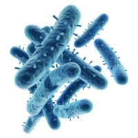 AI generated Bacteria isolated on transparent background png