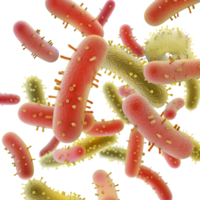 ai gegenereerd bacterie geïsoleerd Aan transparant achtergrond png