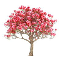 ai generiert Tulpe Baum isoliert auf transparent Hintergrund png