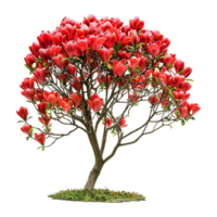 AI generated Tulip tree isolated on transparent background png