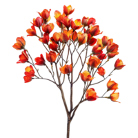 AI generated Tulip tree isolated on transparent background png