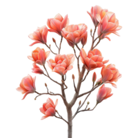 AI generated Tulip tree isolated on transparent background png