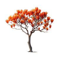 AI generated Tulip tree isolated on transparent background png