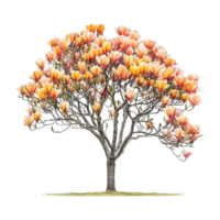 AI generated Tulip tree isolated on transparent background png