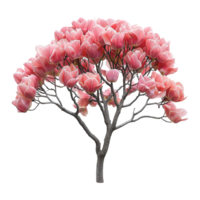 ai generiert Tulpe Baum isoliert auf transparent Hintergrund png