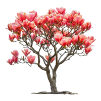 AI generated Tulip tree isolated on transparent background png