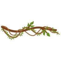 Lianas branch with vines vector