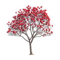 ai generado tulipán árbol aislado en transparente antecedentes png