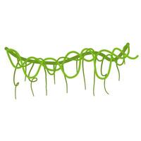 Lianas branch with vines vector