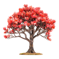 AI generated Tulip tree isolated on transparent background png