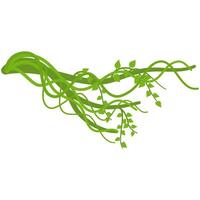 Lianas branch with vines vector